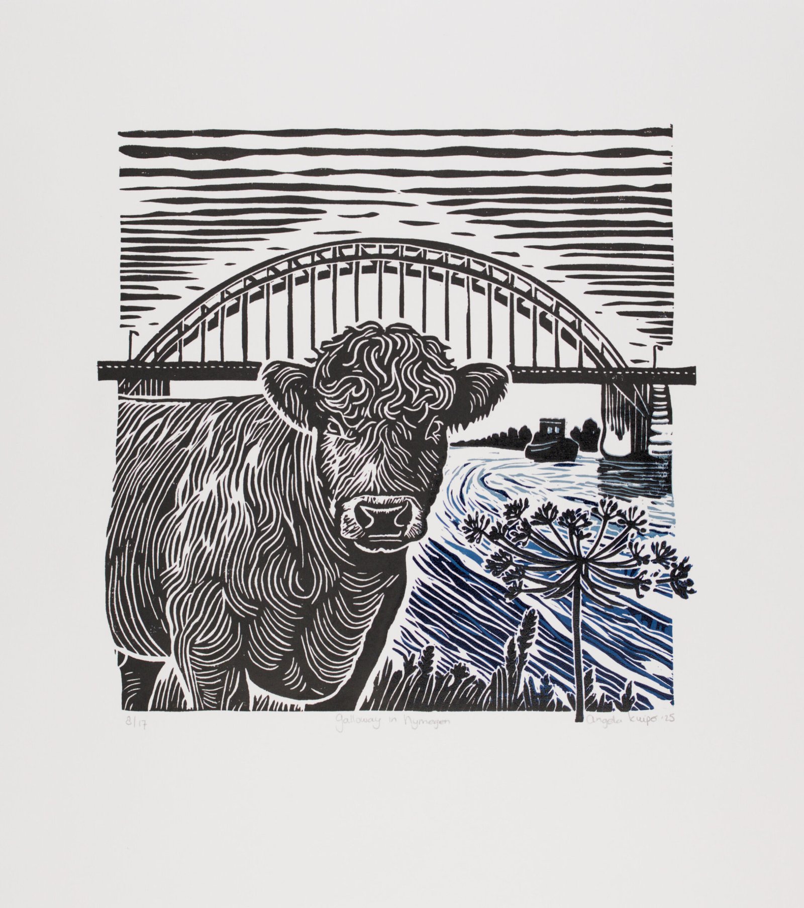 Galloway in Nijmegen