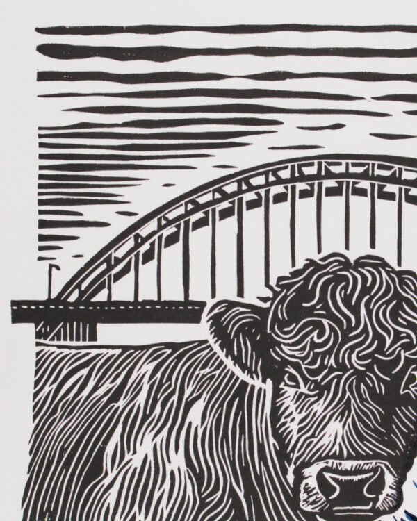 7T7A1101_01 Galloway in Nijmegen