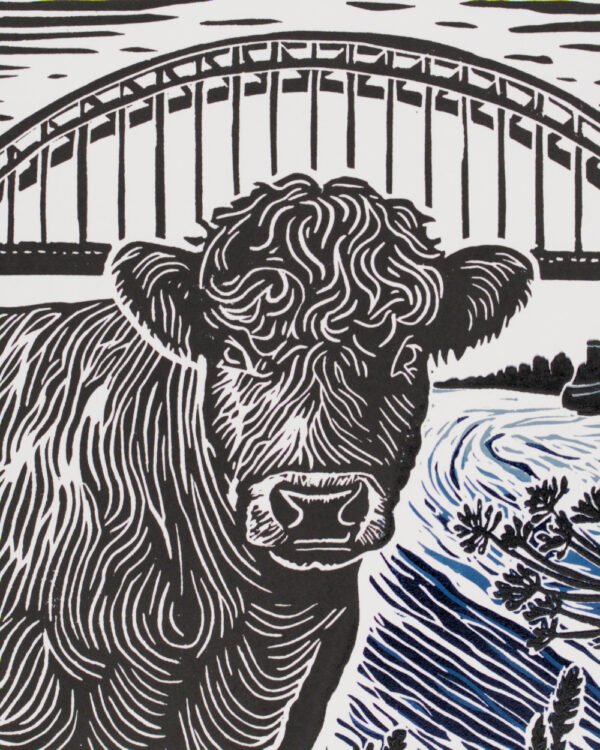 7T7A1101_02 Galloway in Nijmegen