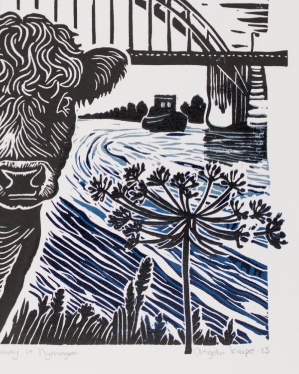 7T7A1101_03 Galloway in Nijmegen