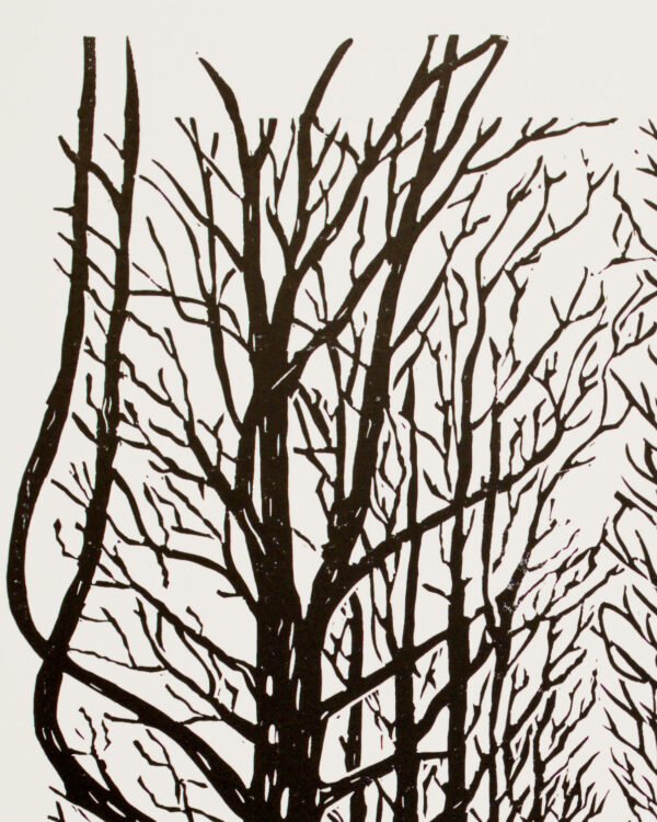 7T7A1674_01 Autumn Awakened