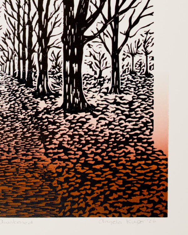 7T7A1674_03 Autumn Awakened