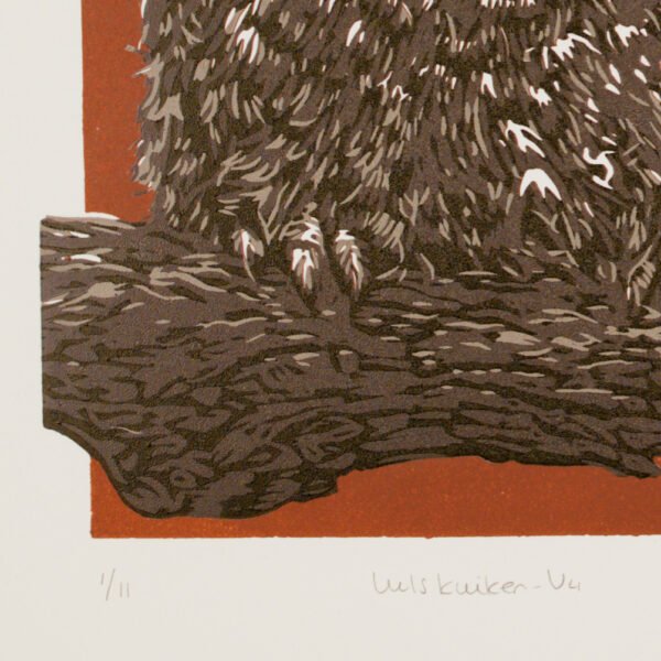 7T7A1683_04 Uilskuiken v4