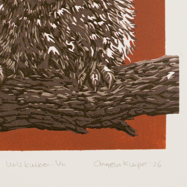 7T7A1683_05 Uilskuiken v4