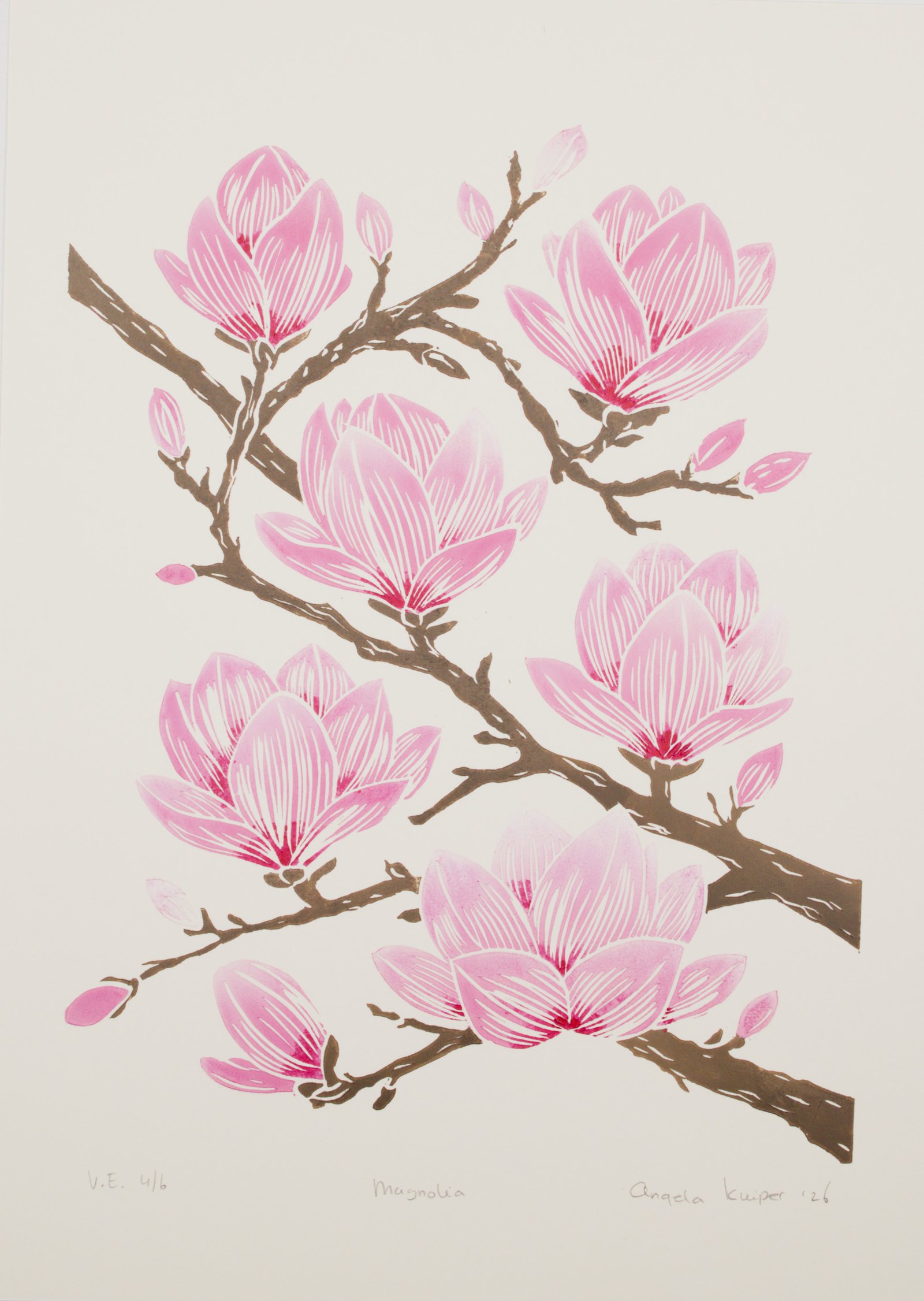 Magnolia - 6 variations