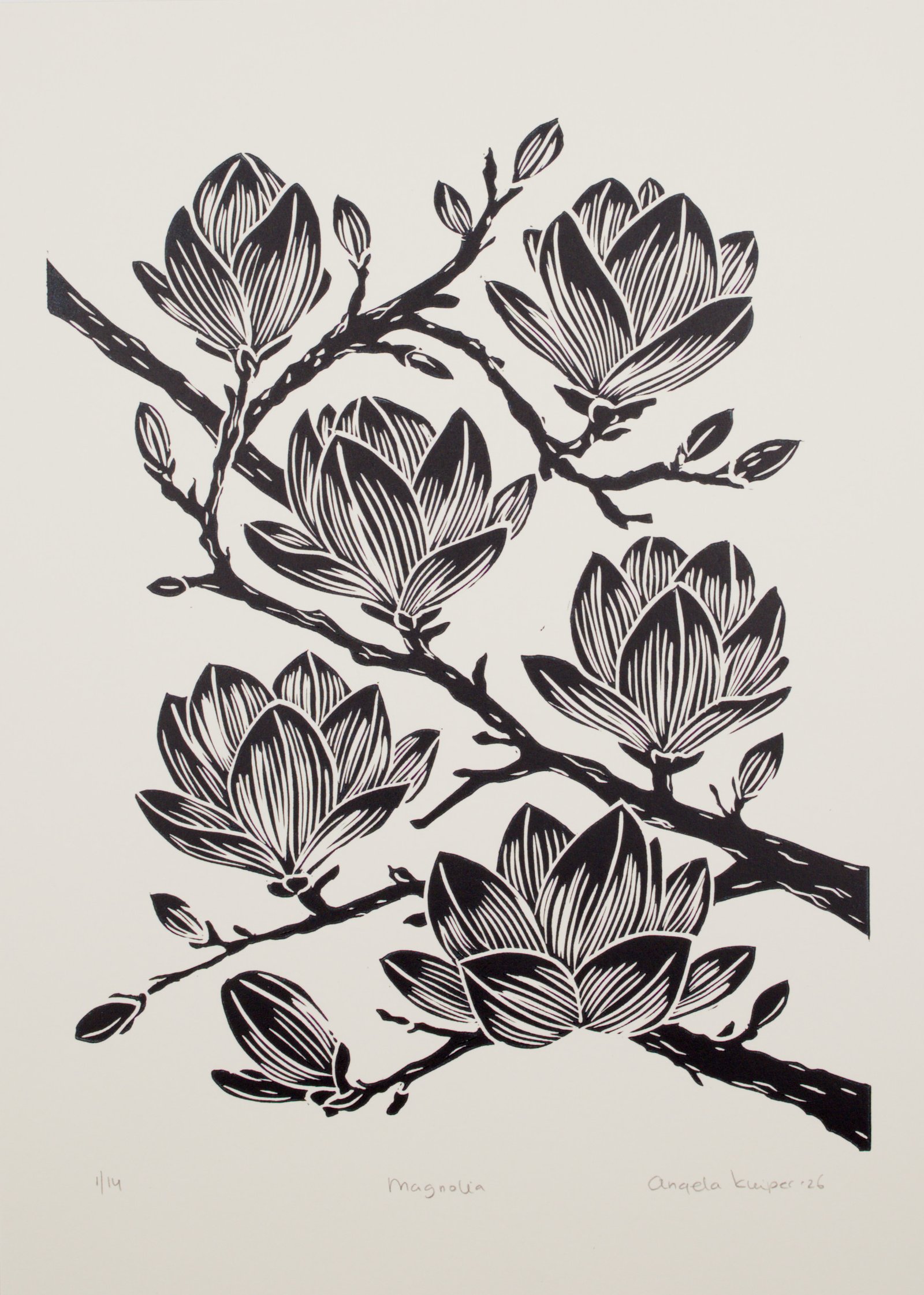 Magnolia - Payne's grey