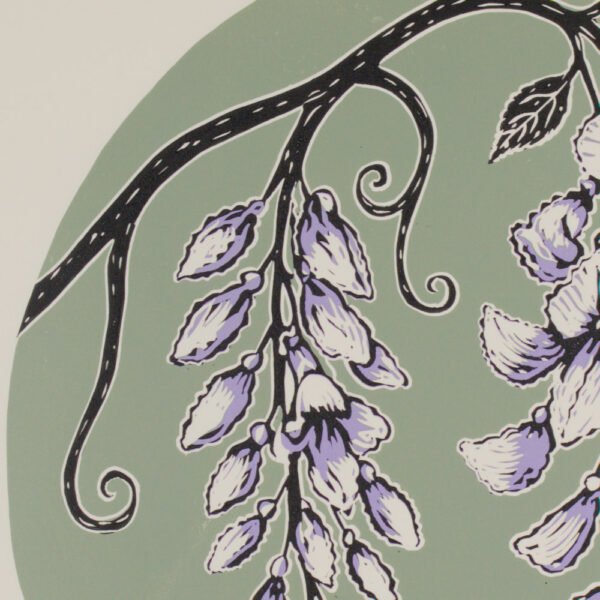 Wisteria
