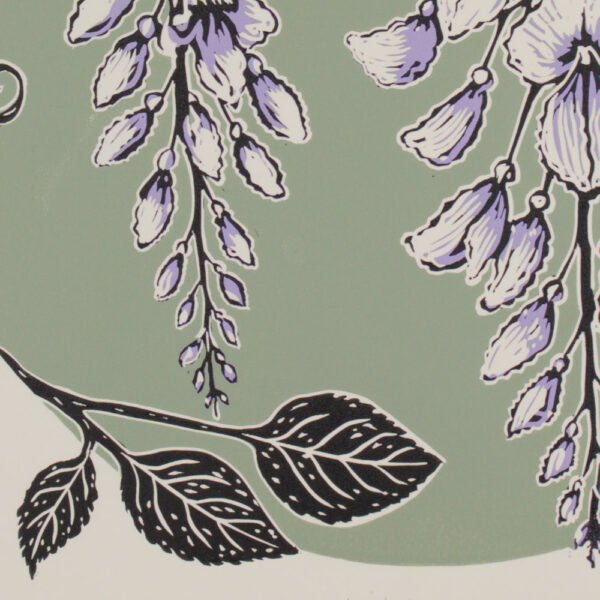 Wisteria