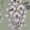 Wisteria