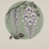 Wisteria