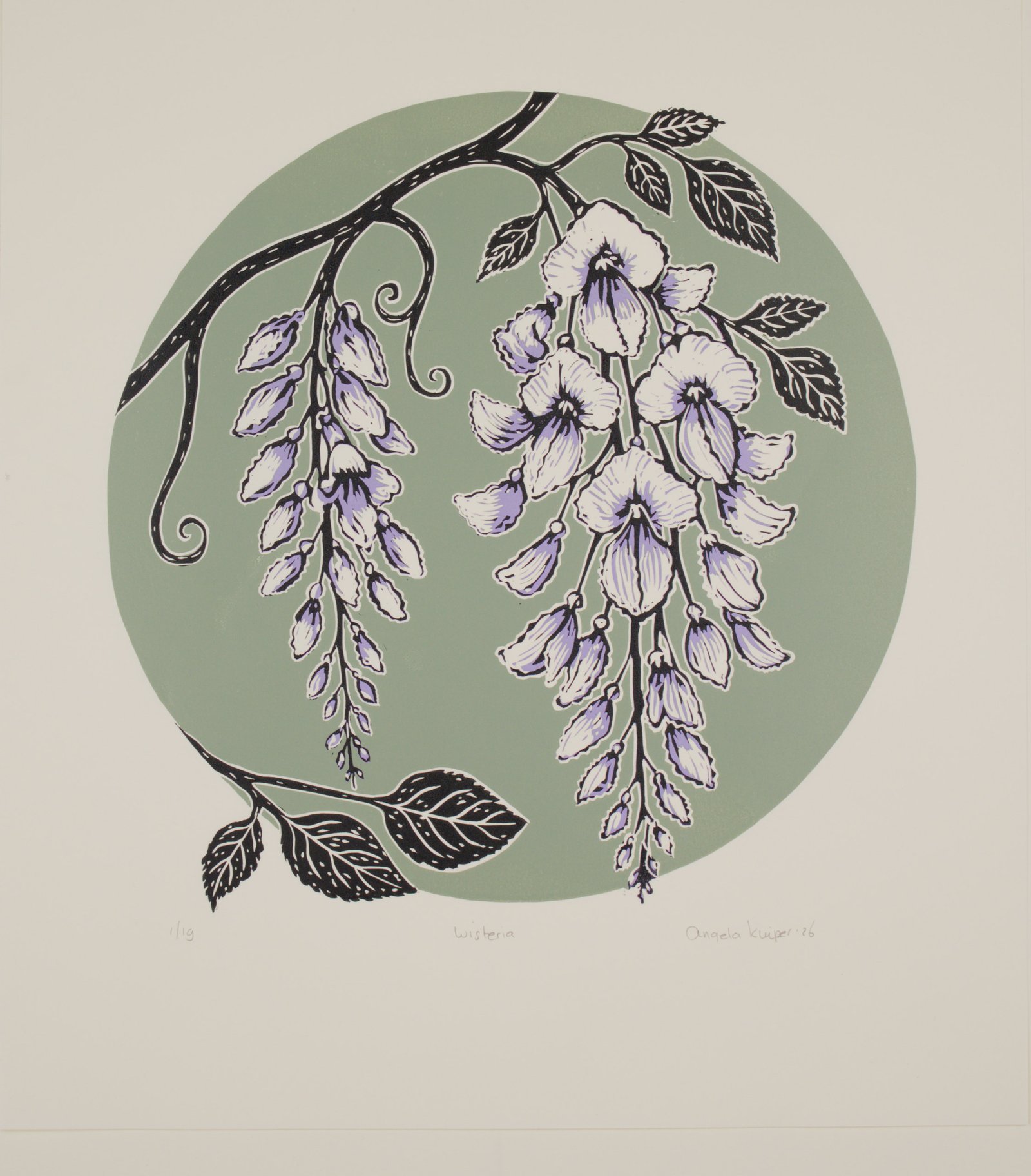 Wisteria