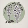 Wisteria