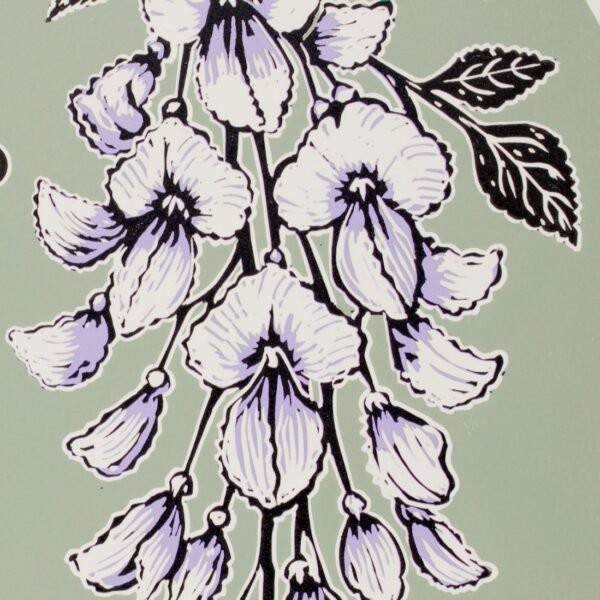 Wisteria
