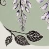 Wisteria