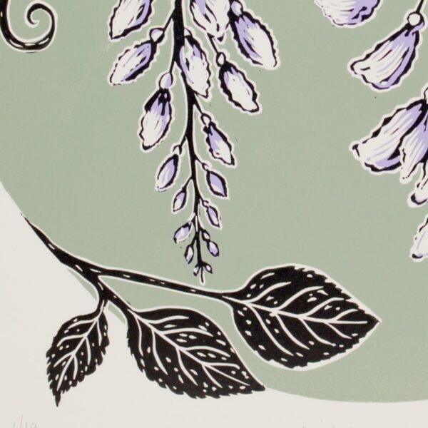 Wisteria