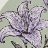 Lilium