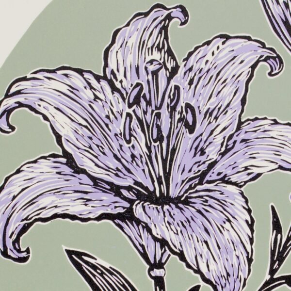 Lilium