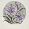Lilium
