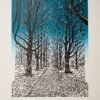 Winter Awakened (Goffertpark) Artist Proof