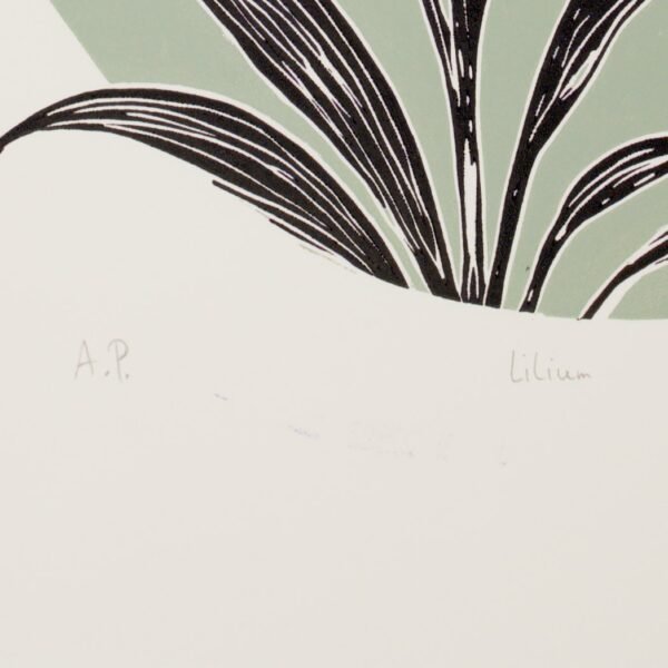 7T7A1882_01 Lilium Artist Proof (ink at the signature)