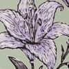 7T7A1882_02 Lilium Artist Proof (ink at the signature)