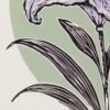 Lilium Artist Proof (ink next to the background)