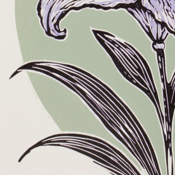 Lilium Artist Proof (ink next to the background)