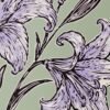 Lilium Artist Proof (ink next to the background)